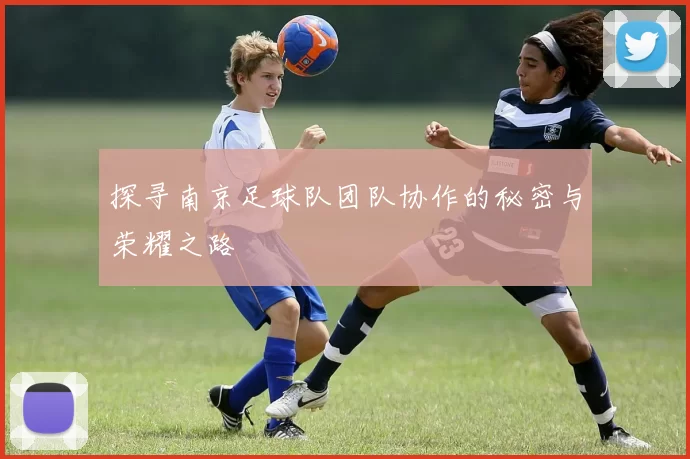 探寻南京足球队团队协作的秘密与荣耀之路